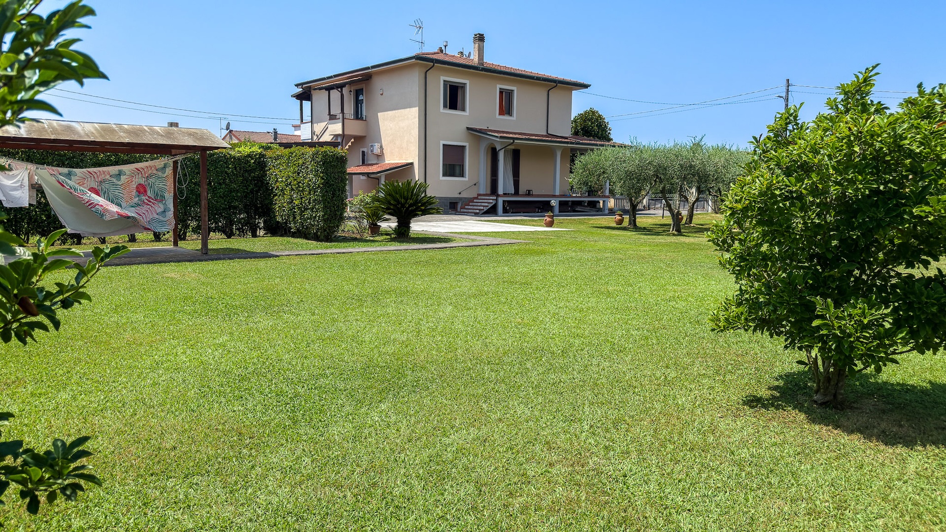 La villa vista dal giardino con prato e ulivi, Massa