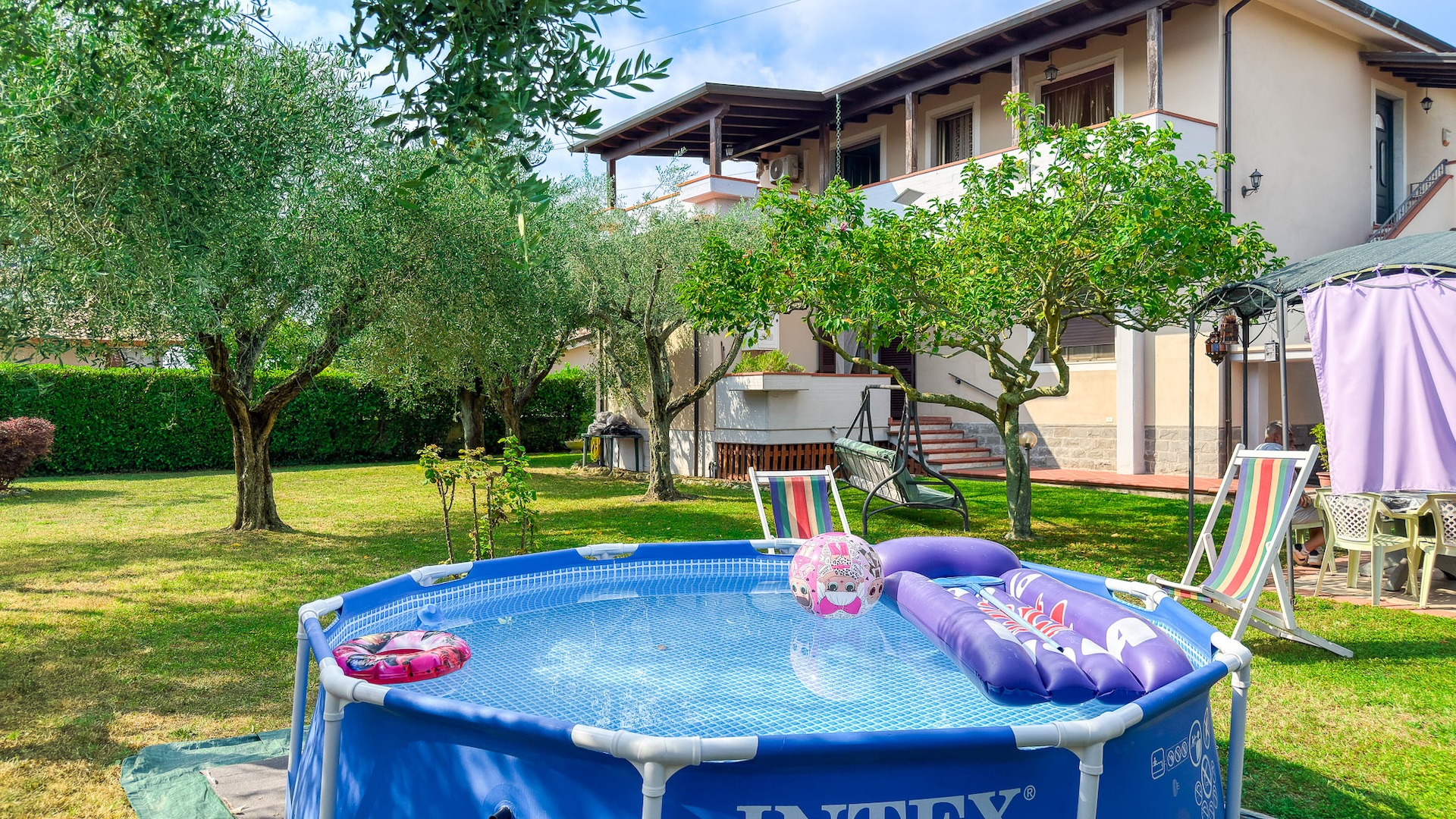 Piscina fuori terra nel giardino con ulivi